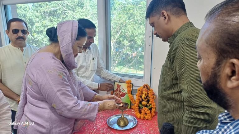 WHO Member Speaking at Organizational Meeting